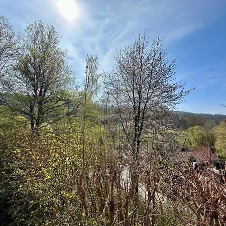 Pur - Waldurlaub Im Tiny House * Ronshausen